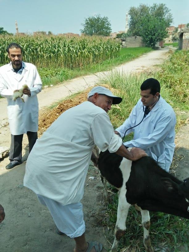 جامعة الزقازيق: علاج 2320 حيوانا وطائرا خلال قافلة بيطرية بإحدى قرى أبو حماد
