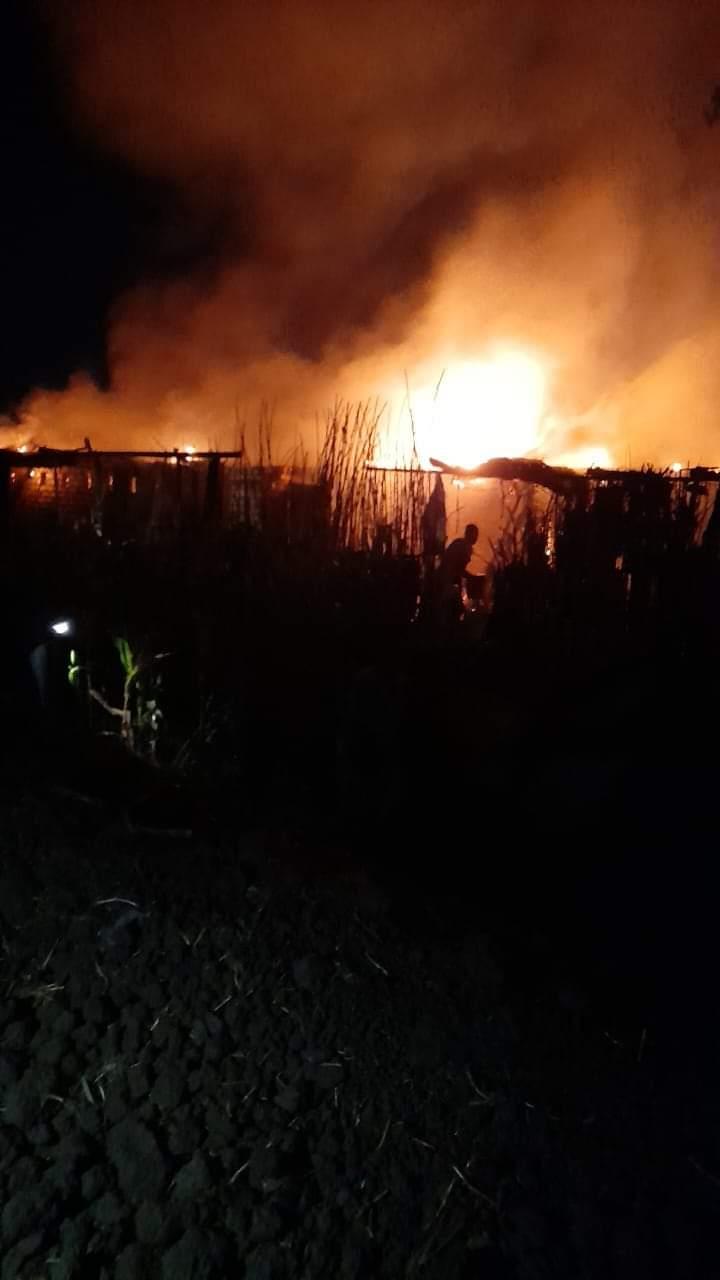 نفوق 5 رؤوس ماشية إثر حريق فى عدد من حظائر المواشي بإحدى قرى المنوفية