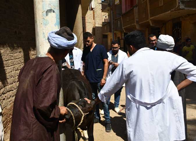 جامعة سوهاج تنظم قافلة بيطرية مجانية لعلاج الثروة الحيوانية بقرية «إدفا»