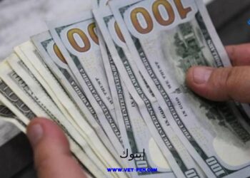 السعر الرسمي للدولار والعملات العربية والأجنبية اليوم الخميس 3-8-2023