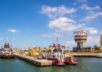 لليوم الثاني بدون ذرة.. ميناء دمياط يستقبل 644 راس ماشية (تسمين ) خلال 24ساعة