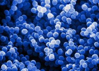 التوصيف الجزيئى لعترات استافيلوكوكس اوريس المقاومة للمضادات الحيوية المعزولة من الألبان ومنتجاتها