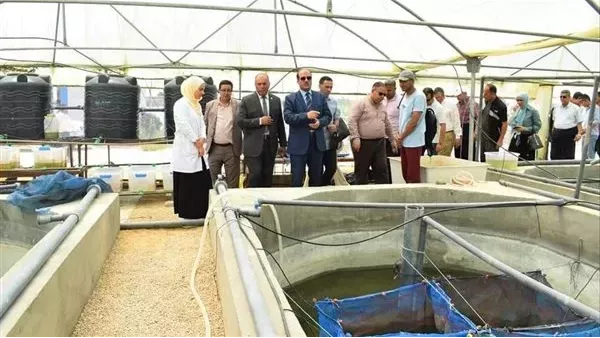 رئيس جامعة العريش يشهد حصاد إنتاج المزارع السمكية بمركز بحوث الأسماك