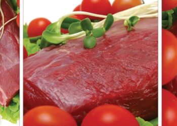 البلازما الباردة ومدى قدرتها على تحسين جودة اللحوم ومنتجاتها