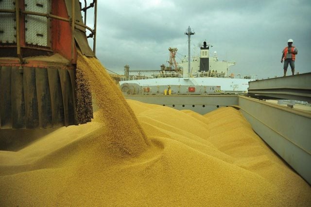 صادرات فول الصويا البرازيلي تصل لـ3.7 مليون طن خلال الأسبوعين الأولين من أغسطس