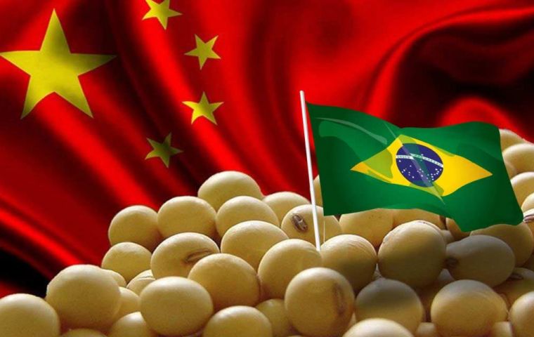 واردات الصين من فول الصويا البرازيلي