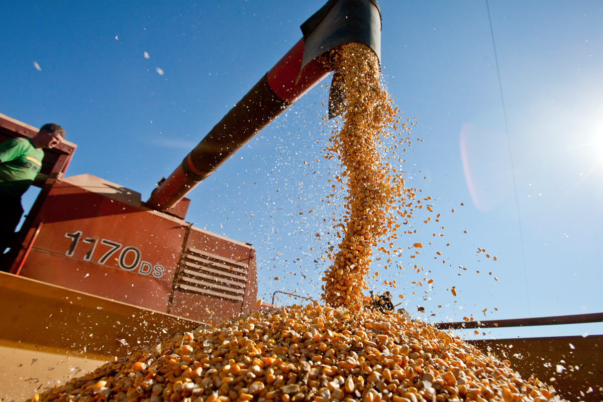 الفاو: ارتفاع أسعار المواد الغذائية في يوليو بعد انسحاب روسيا من صفقة الحبوب