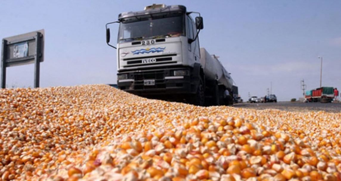 تراجع صادرات الولايات المتحدة الأسبوعية من الذرة بنسبة 30٪ لتسجل 376،623 طنًا