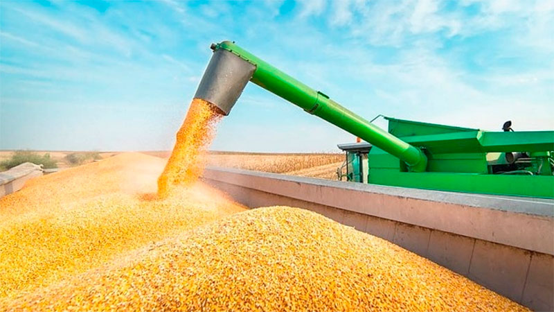 ارتفاع طفيف في إنتاج الأرجنتين من الذرة ليسجل 55 مليون طن خلال موسم 2023-24
