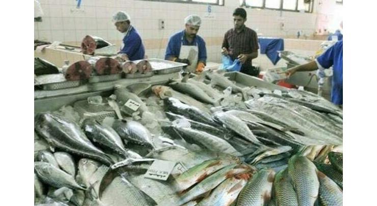 ارتفاع صادرات باكستان من الأسماك والمأكولات البحرية بنسبة 2.2% في يوليو