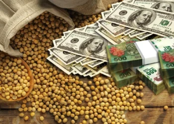 الأرجنتين تعلن عن مخطط رابع لـ"دولار الصويا" لتعزيز الصادرات