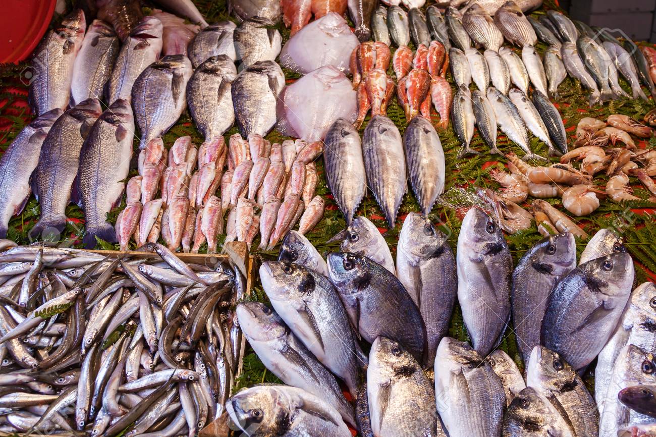 البلطي والبوري والجمبري.. أسعار الأسماك فى سوق العبور اليوم الأحد
