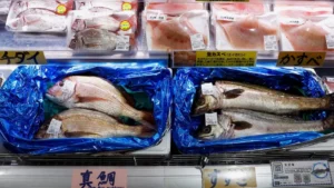 تراجع واردات الصين من المأكولات البحرية اليابانية بنسبة 67% في أغسطس