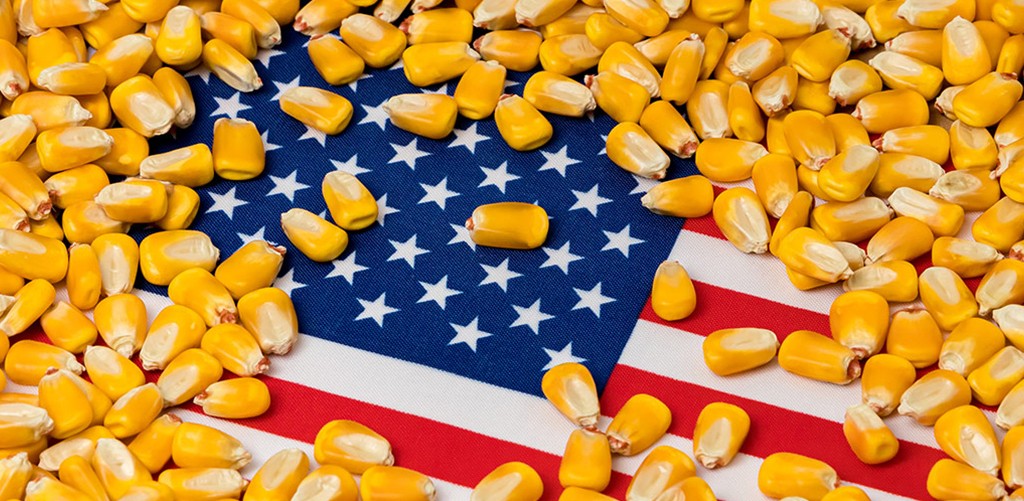 ارتفاع صادرات الولايات المتحدة الأسبوعية من الذرة لتسجل 642 ألف طن