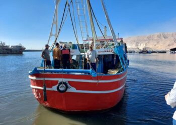 "جهاز حماية وتنمية البحيرات" يفتتح موسم الصيد بخليج السويس 2023