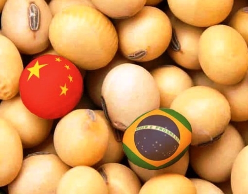 واردات الصين من فول الصويا البرازيلي ترتفع 46% في أغسطس