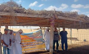 علاج وفحص أكثر من 4200 رأس ماشية مجانا لصغار المربين بشمال سيناء