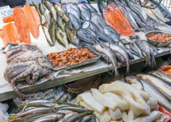 أسعار الأسماك فى سوق العبور اليوم الإثنين 4 سبتمبر