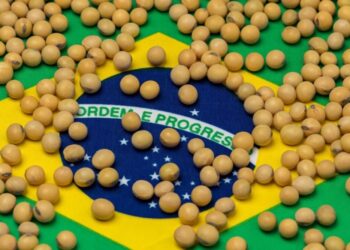 على رأسها فول الصويا.. صادرات البرازيل الزراعية تحطم الرقم القياسي في أغسطس