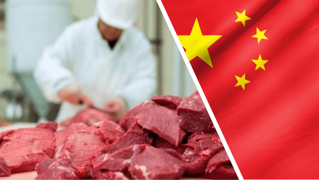 واردات الصين من لحوم الأبقار تصل لمستويات قياسية