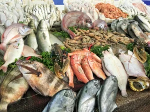 الثروة السمكية: الأعلاف وارتفاع الحرارة وراء تراجع الإنتاج السمكي في مصر