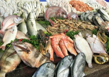 الثروة السمكية: الأعلاف وارتفاع الحرارة وراء تراجع الإنتاج السمكي في مصر