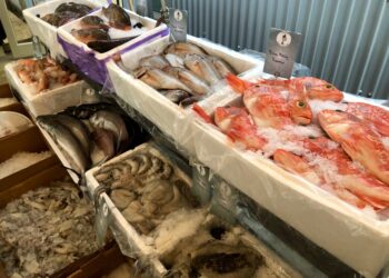 أسعار الأسماك