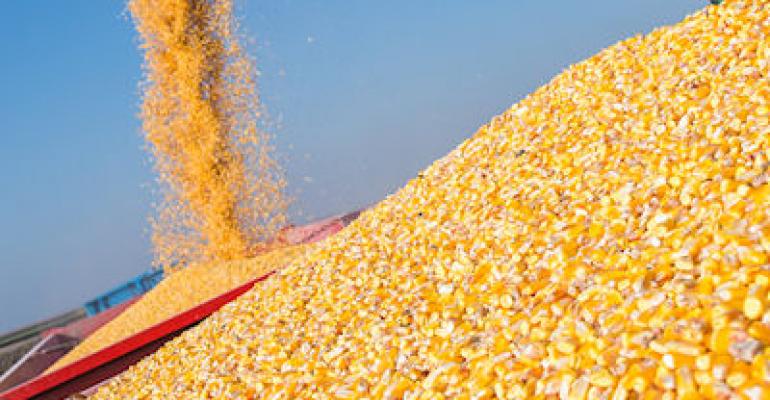 تراجع صادرات أوكرانيا من الحبوب إلى 7.8 مليون طن في موسم 2023/24