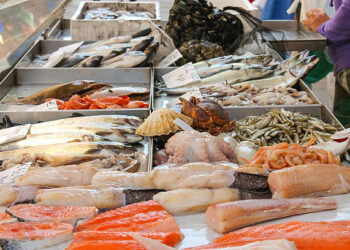 البلطي والبوري والجمبري.. أسعار الأسماك فى سوق العبور اليوم السبت