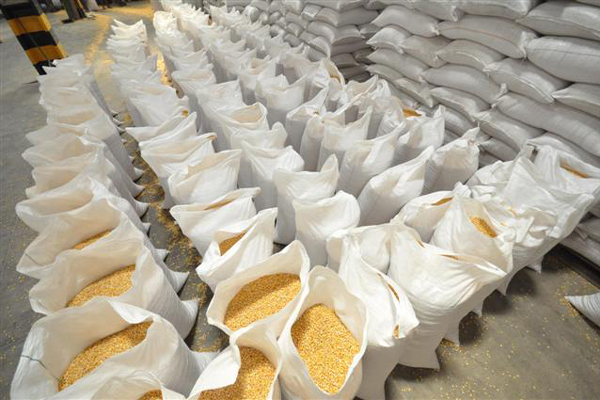 الزراعة الأمريكية: تراجع مخزونات الذرة عند 1.36 مليار بوشل في سبتمبر