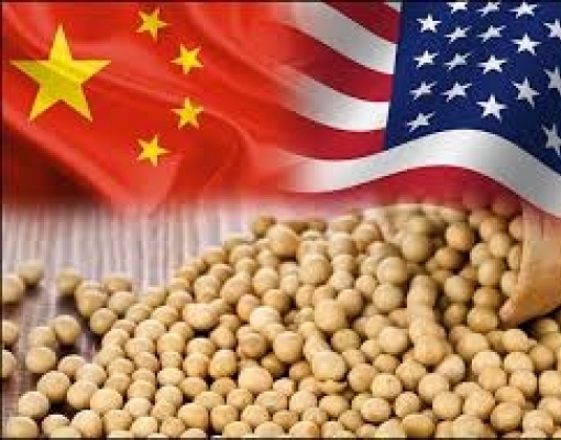 الصين تشتري 123 ألف طن من فول الصويا الأمريكي وتسليمها خلال موسم 2023/24