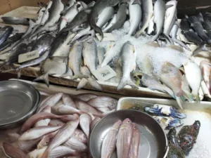 أسعار الأسماك والأكلات البحرية فى الأسواق اليوم الأحد 3 سبتمبر