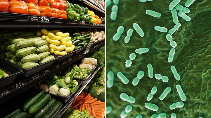 ميكروب الليستريا كأحد أهم مسببات التسمم الغذائى