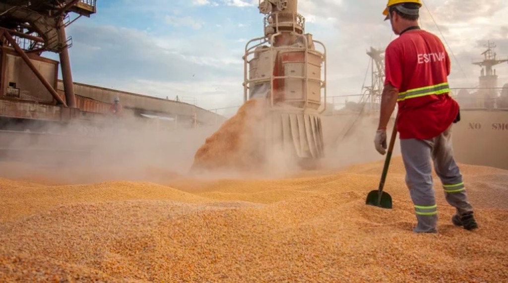 الذرة والصويا أبرزهم.. صادرات البرازيل الزراعية تسجل 13.71 مليار دولار في سبتمبر
