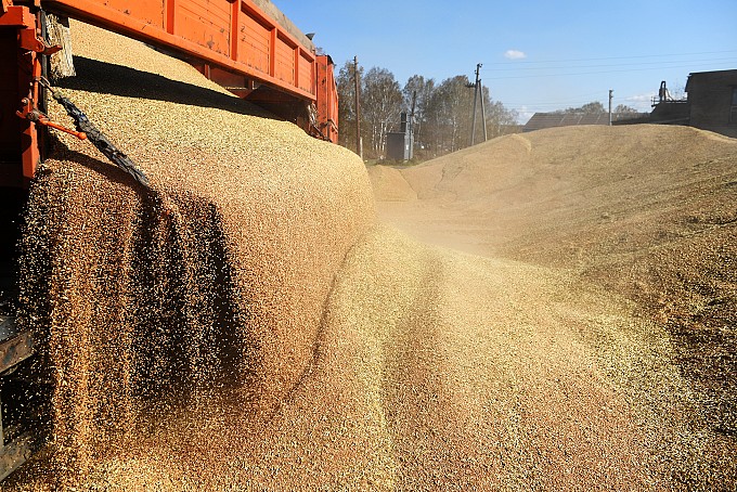 لاتفيا تدعم فرض قيود على واردات الحبوب الروسية إلى الاتحاد الأوروبي