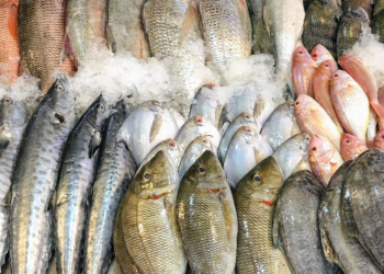أسعار السمك اليوم الإثنين في سوق الجملة