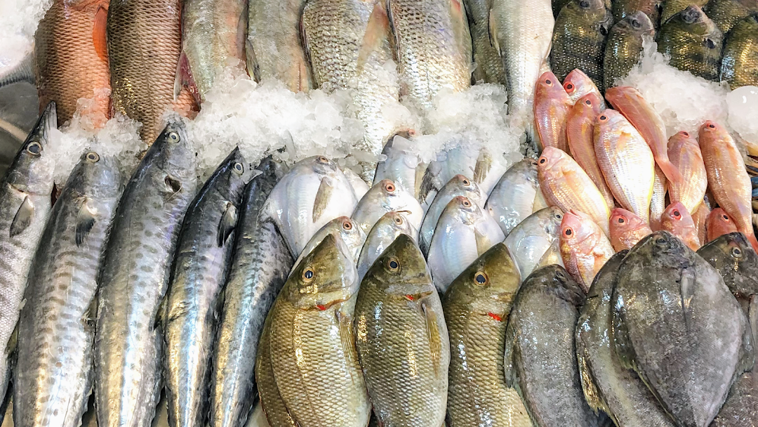 أسعار السمك اليوم الإثنين في سوق الجملة