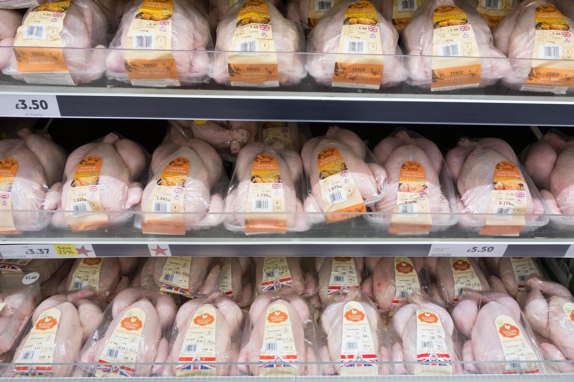 اليابان تعلن إنهاء الحظر المفروض على صادرات لحوم الدجاج والبيض البرازيلية