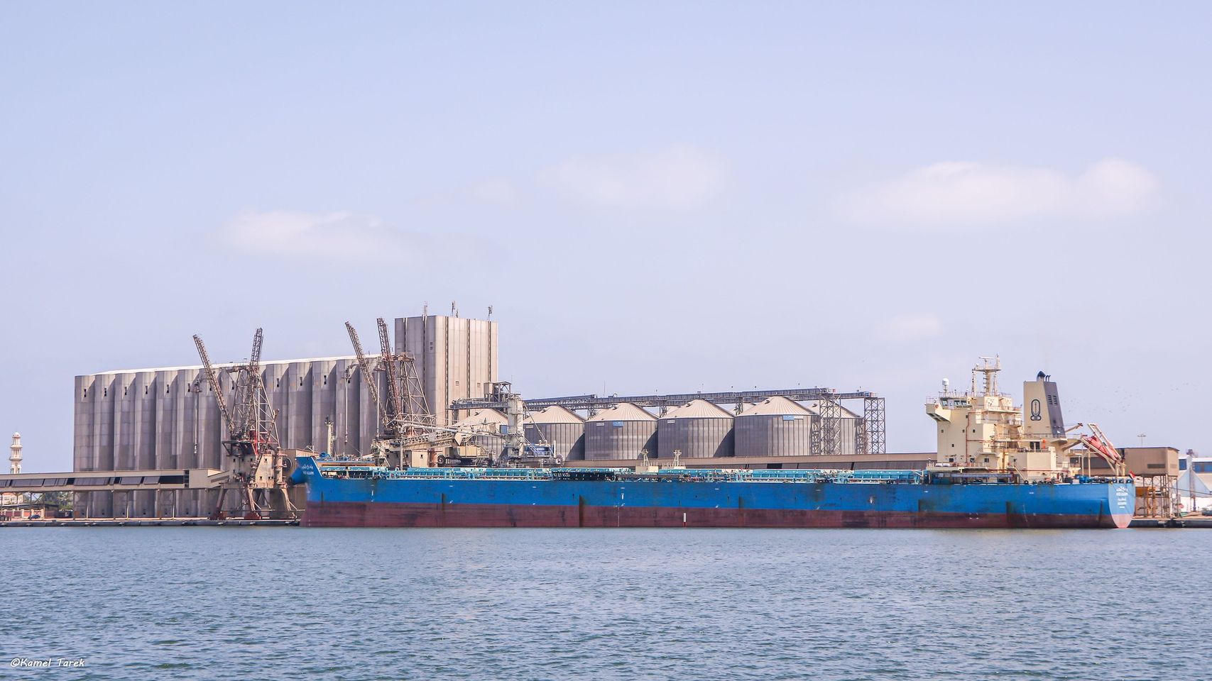 ميناء دمياط يستقبل 5850 طن ذرة و 4500 طن كسب صويا و 4308 رأس ماشية