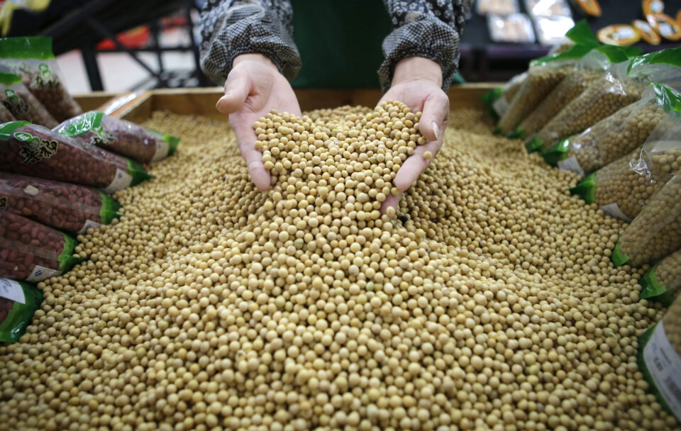 الزراعة الأمريكية: بيع 110 ألف طن من فول الصويا إلى الصين