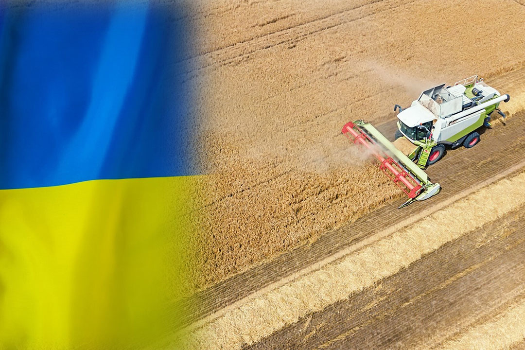 خسائر قطاع الحبوب الأوكرانية تتجاوز 3.2 مليار دولار في عام 2023