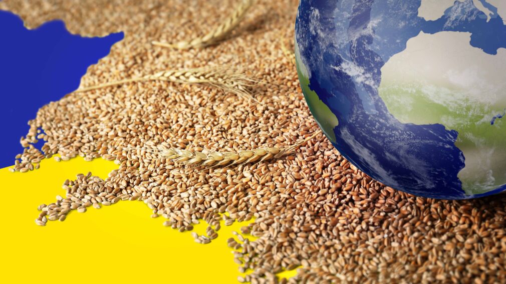 تراجع صادرات الحبوب الأوكرانية في أكتوبر بنسبة 50%