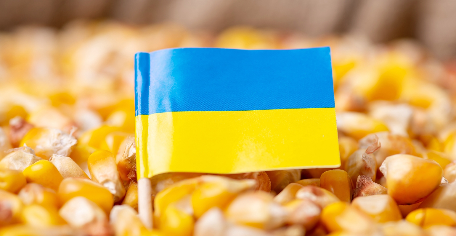 أوكرانيا تعلن زراعة 3.3 مليون هكتار من محاصيل الحبوب الشتوية لموسم 2023/24