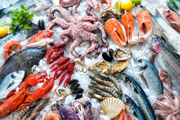 أسعار السمك اليوم تواصل استقرارها في سوق العبور،