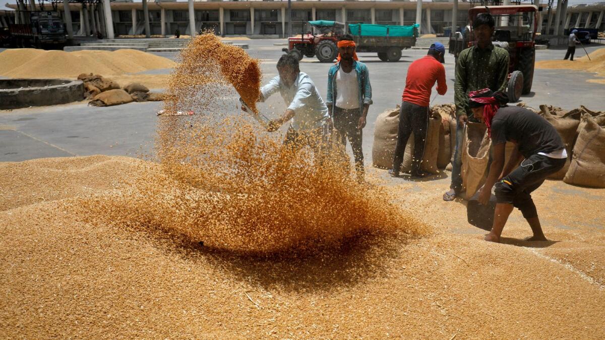 الهند تمدد وقف تداول العقود الآجلة للسلع الزراعية الرئيسية حتى ديسمبر 2024