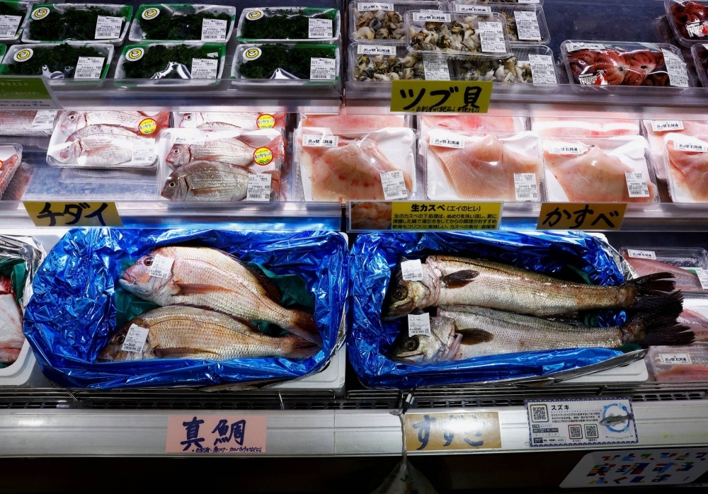 تراجع واردات الصين من الأسماك اليابانية إلى الصفر في سبتمبر