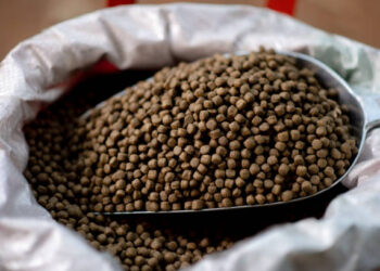 خاص| أكوا جرين: 2000 جنيه تراجع في أسعار اعلاف الأسماك خلال الساعات الماضية