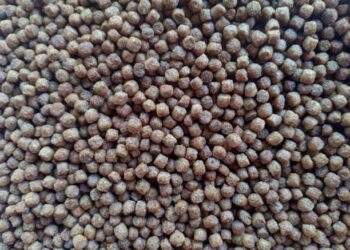 خاص| هايدا إيجيبت الصينية: استقرار الطلب على أعلاف الأسماك مع نهاية الموسم الجاري