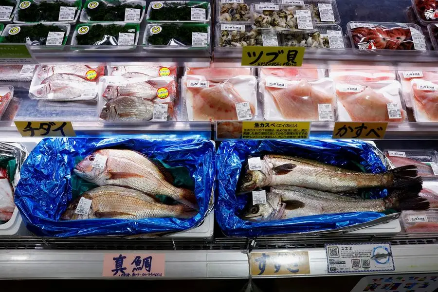 روسيا تنضم إلى الصين وتفرض قيود على واردات الأسماك والمأكولات البحرية اليابانية