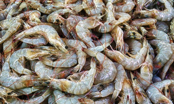 صادرات فيتنام من المأكولات البحرية تسجل 9 مليارات دولار بنهاية 2023